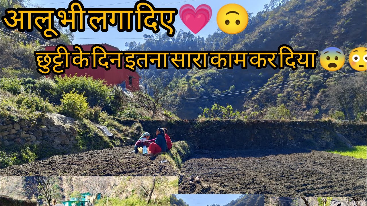 आलू भी लगा दिए 💗 छुट्टी के दिन इतना सारा काम कर दिया 😨😳