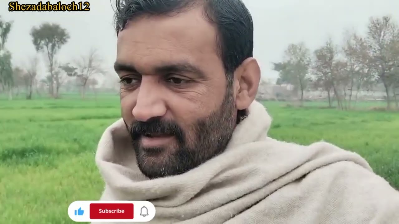@اج ان کے ساتھ گے اپنی گندم پر چکر لگانے