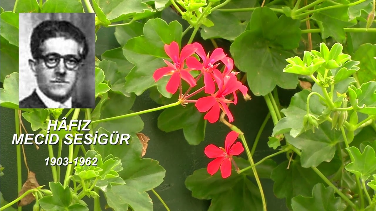 Hafız Mecid Sesigür | Mersiye (Muharremiyye)