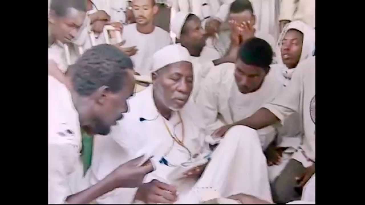 شيخ الزريبة - لقطات مؤثرة جداً ومعبرة مصحوبة بقصيدة (أخبروني يا حبايب) (مسيد الشيخ البرعي)
