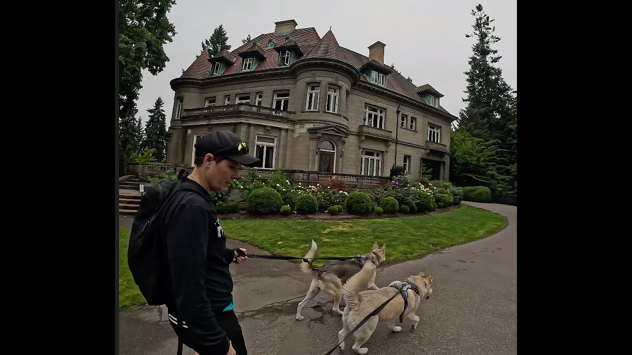 Pittock Mansion to Witch's Castle Hike