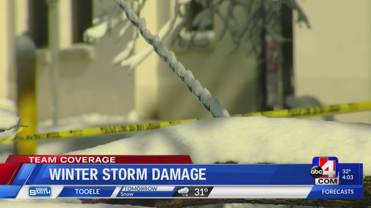 Winter storm damage