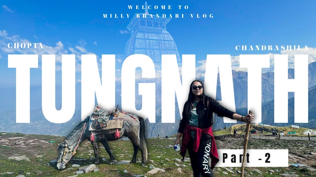 Tungnath Chandrashila Trek #tungnathyatra #tungnathmahadev #harharmahadev #shivatemple