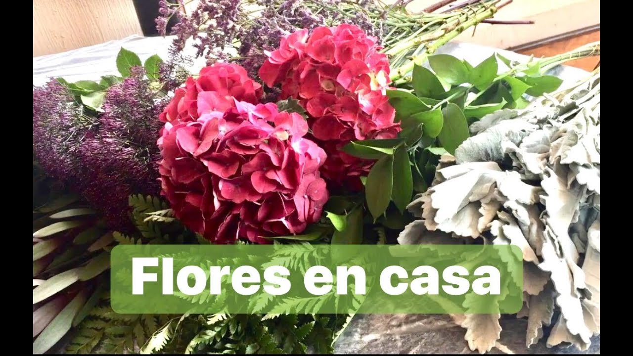 Flores para casa @lacasadealejandra1
