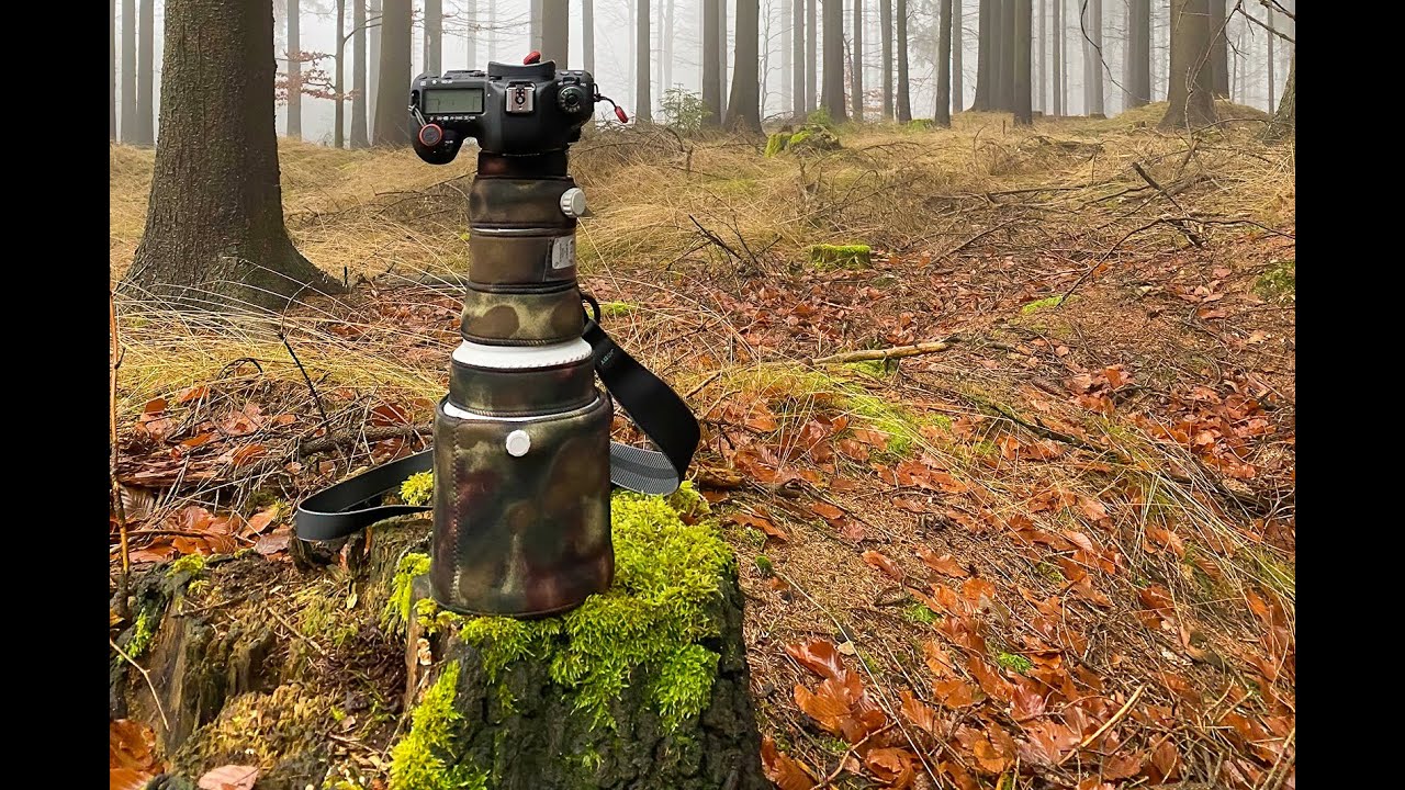 Základní nastavení fotoaparátu Canon