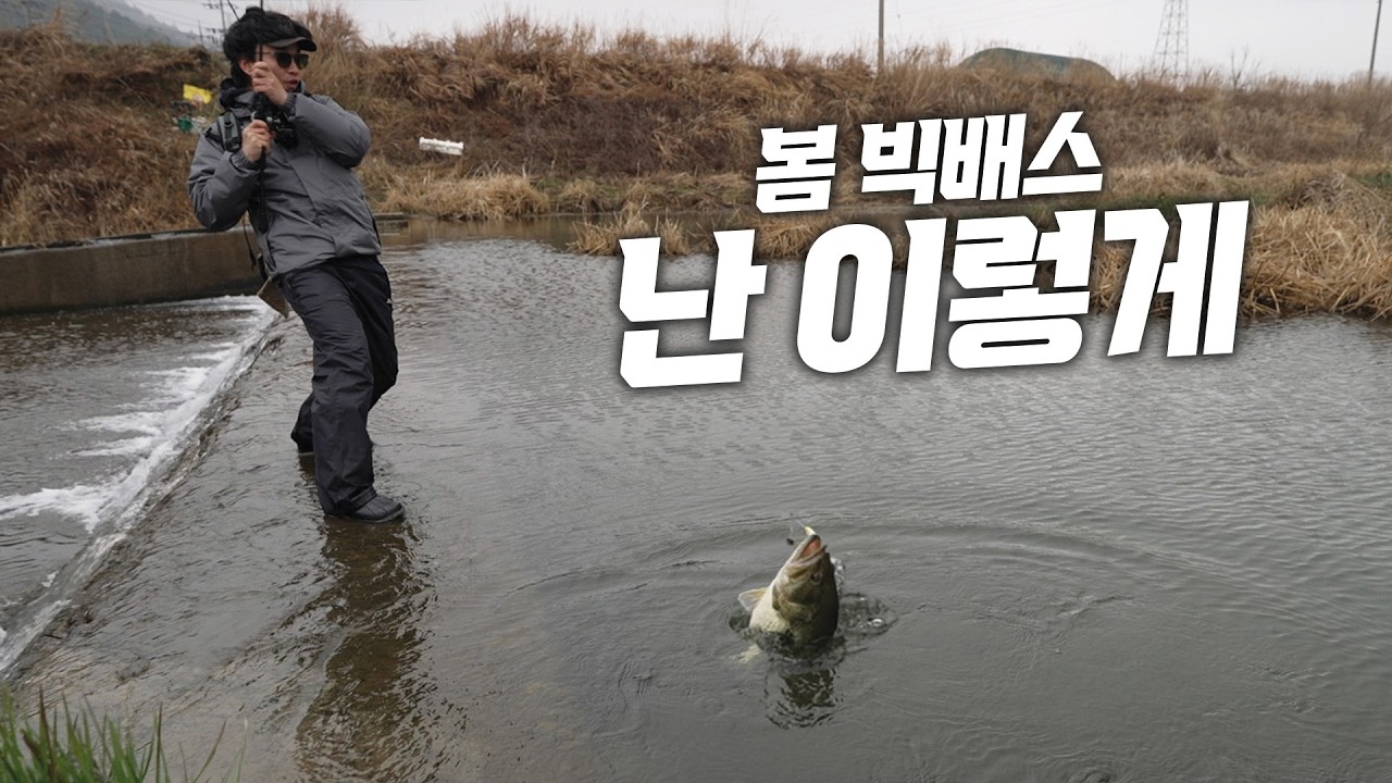 배스낚시가 봄에 즐거운 이유