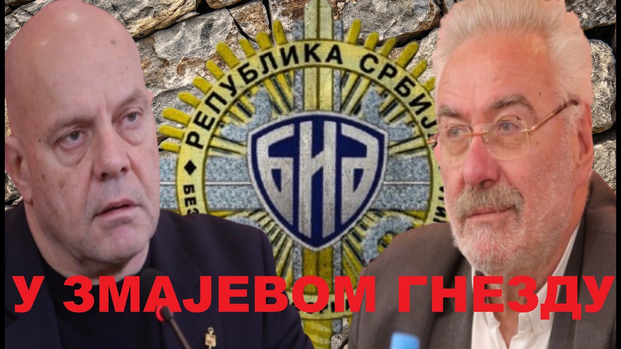 Ako Nestorović sprovede ovaj plan znaćemo svi za koga radi! - Aleksandar Pavić