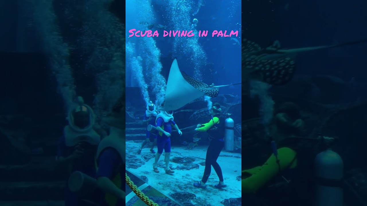Scuba in Atlantis The palm #shorts #youtubeshorts