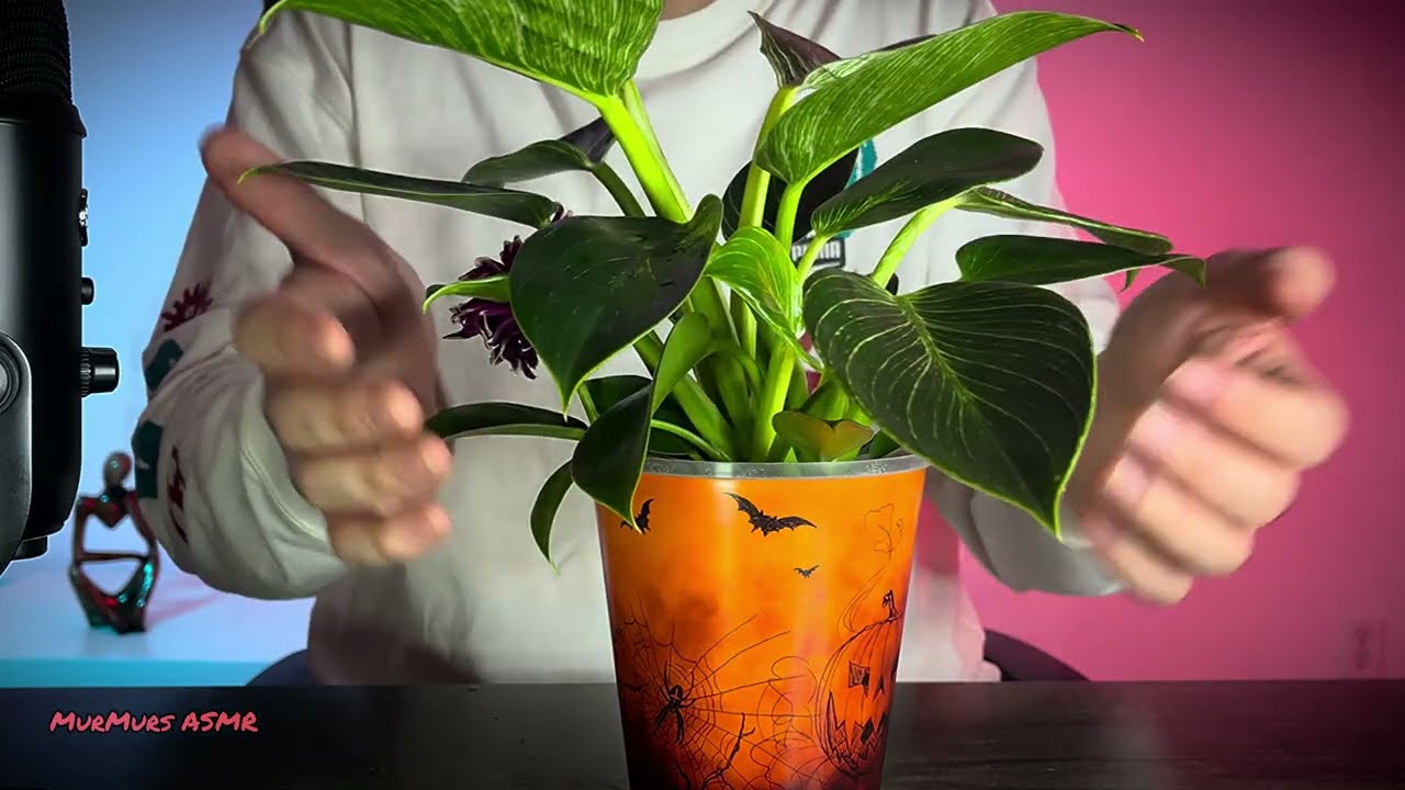 Plant Care ASMR 🌱 Gentle Tapping & Watering Sounds 🍀🪴