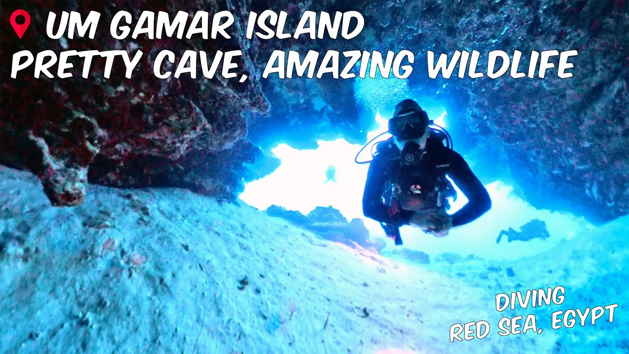 Um Gamar Island, Red Sea, Egypt - Beautiful Small Cave with Amazing Wildlife in the Shallows