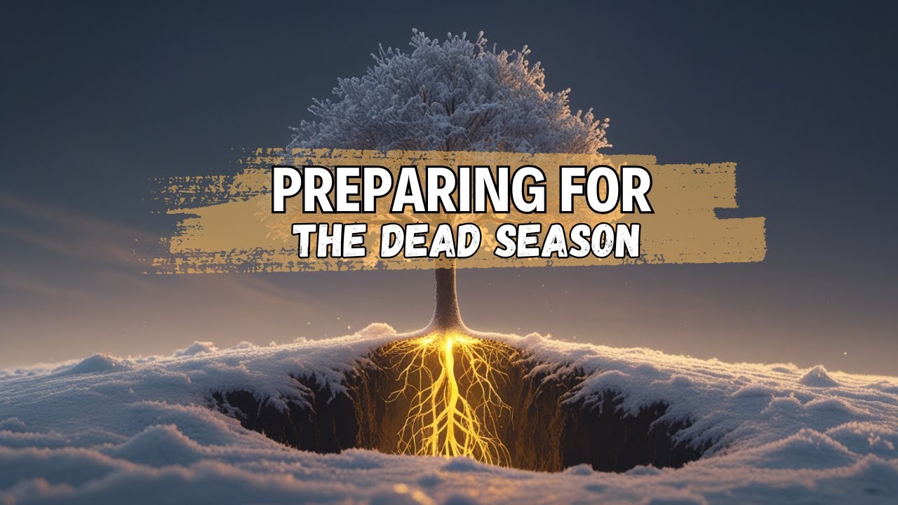 Preparing to Be Bountiful in the Dead Season | Growing in the Quiet Seasons of Life