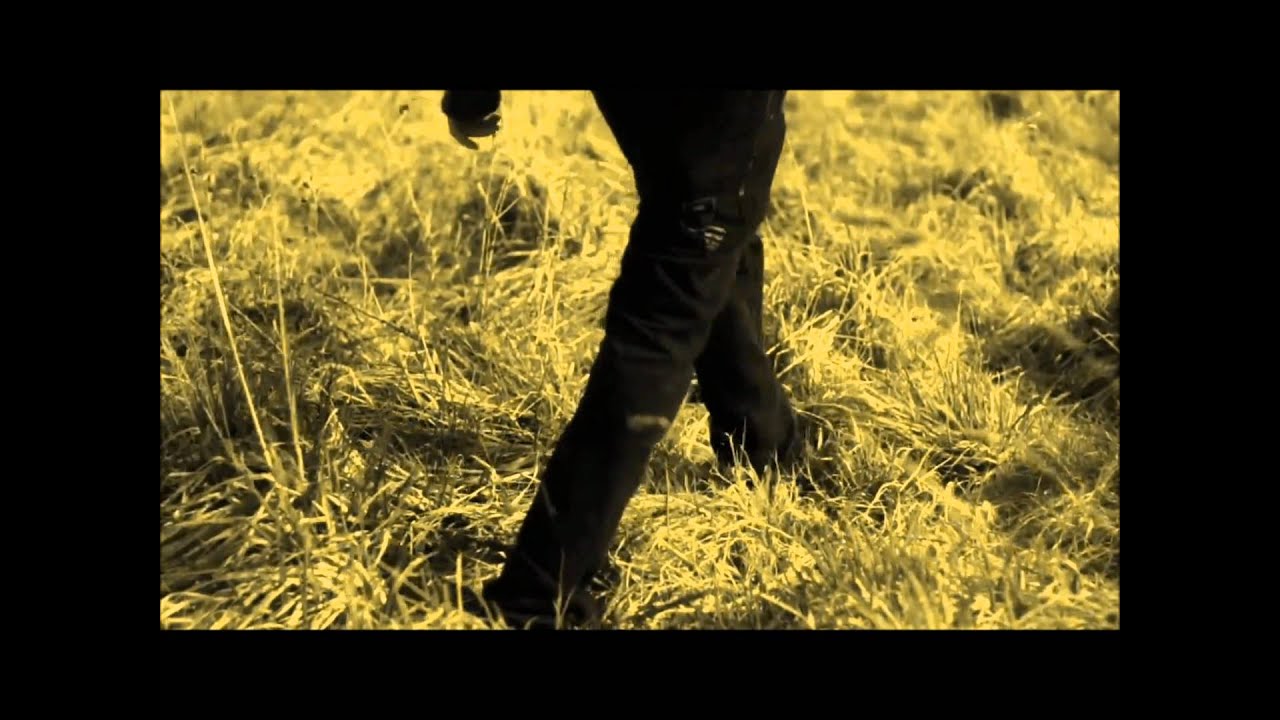 The Sky Is Everywhere (Trailer) (Fictional)