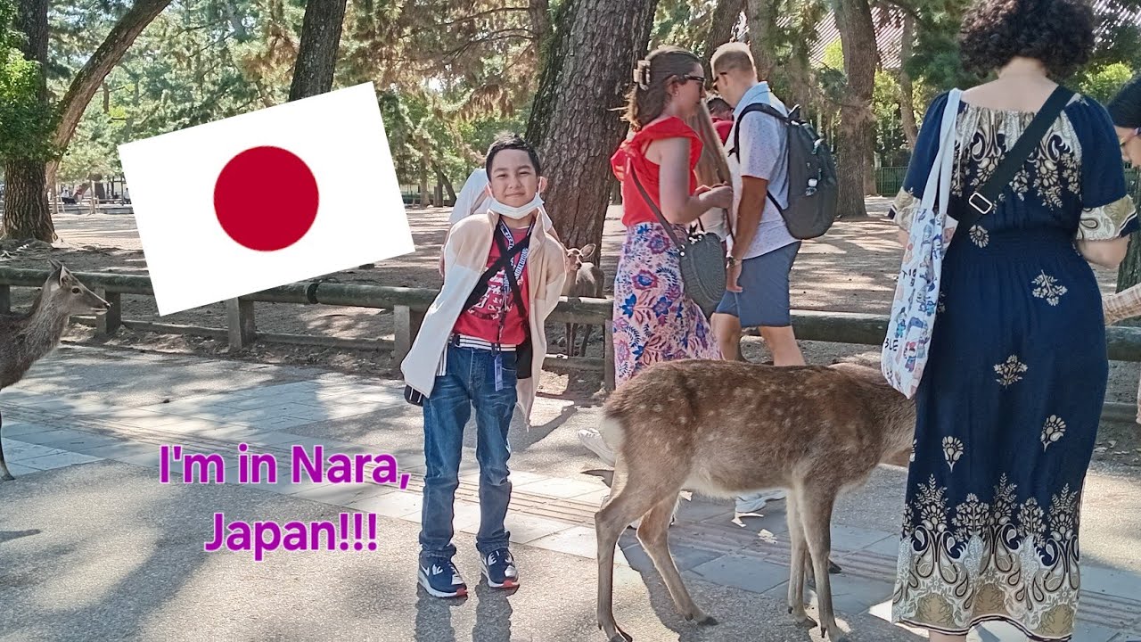 I'm in Nara, Japan! -  Japan Vlog #2