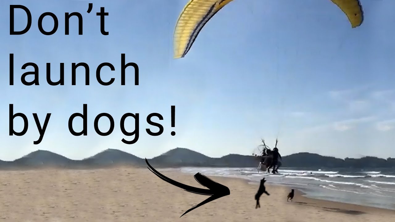 Dog BITES paramotor on take off and HANGS on!!! - Reacting to crash videos pt. 8