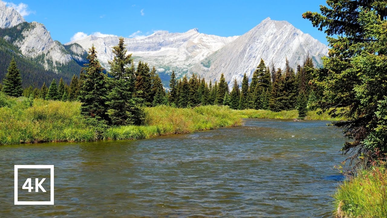4K Canadian Rockies Ambience | Gentle Mountain River in BC Backcountry | Nature Sounds White Noise