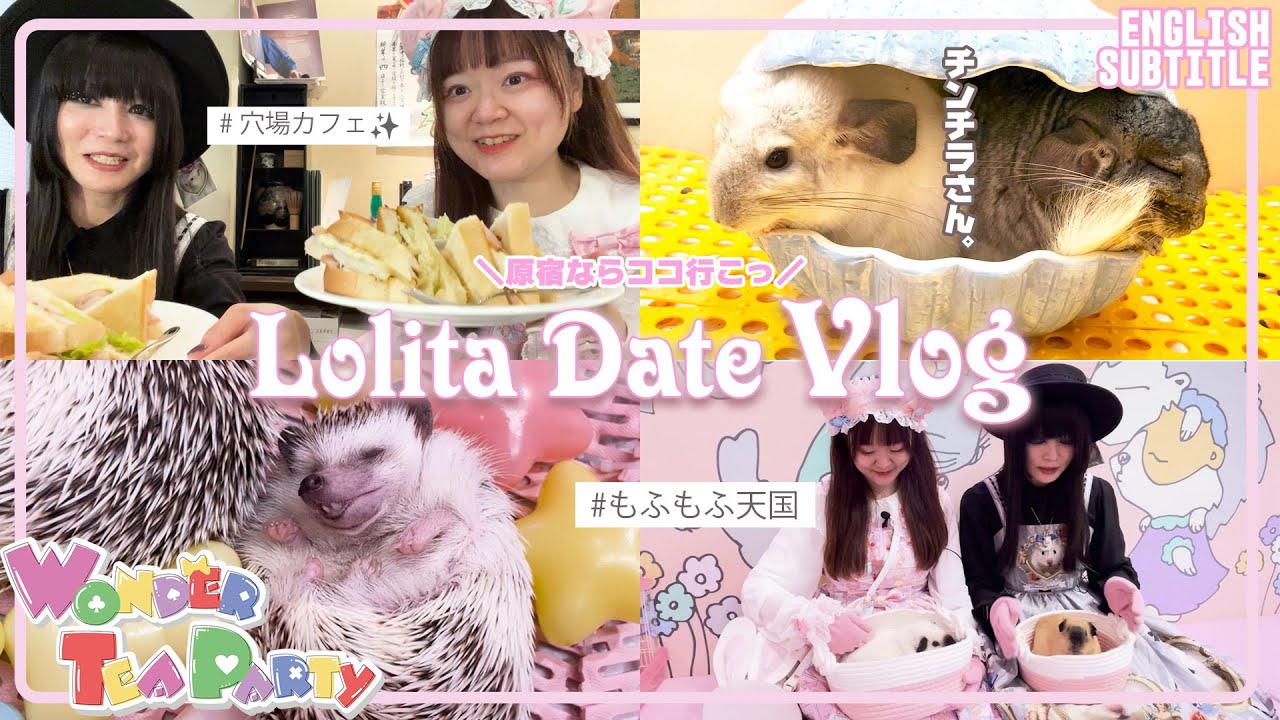Ai and Pochi having fun with cute animals in Harajuku