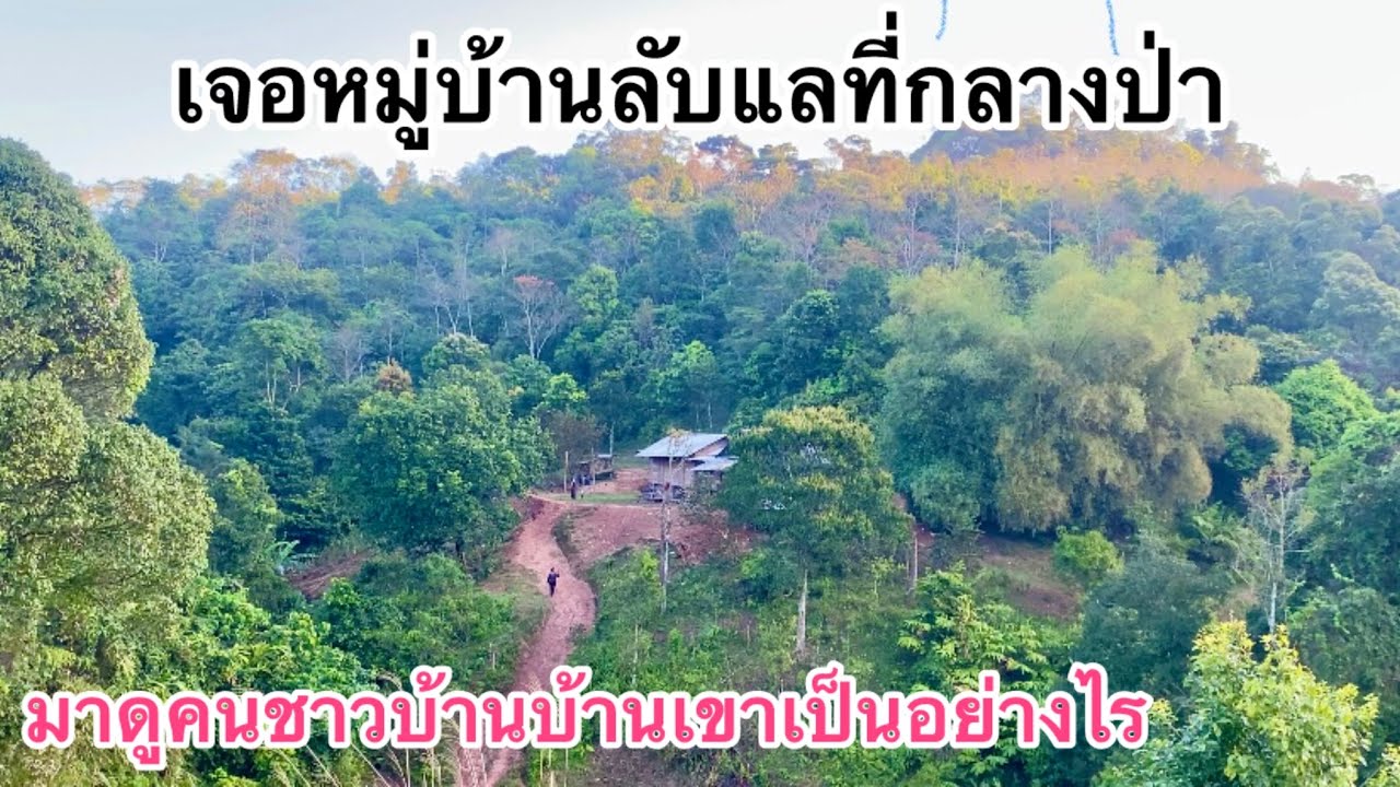 เจอหมู่บ้านลับแลกลางป่ามาดูว่าเขาใช้ชีวิต￼อย่างไร￼