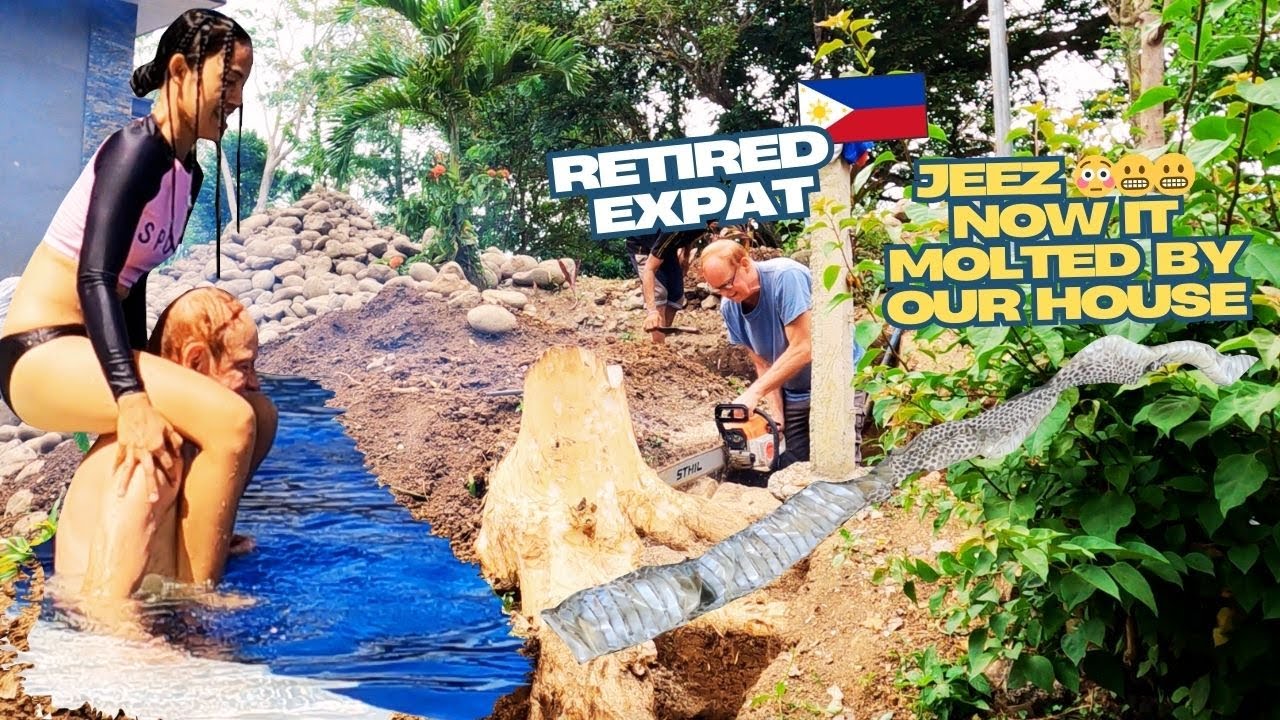 RETIRED EXPAT WILL MAKE IT LOUD FOR YOU WITH HIS TINY CHAINSAW AND DIY