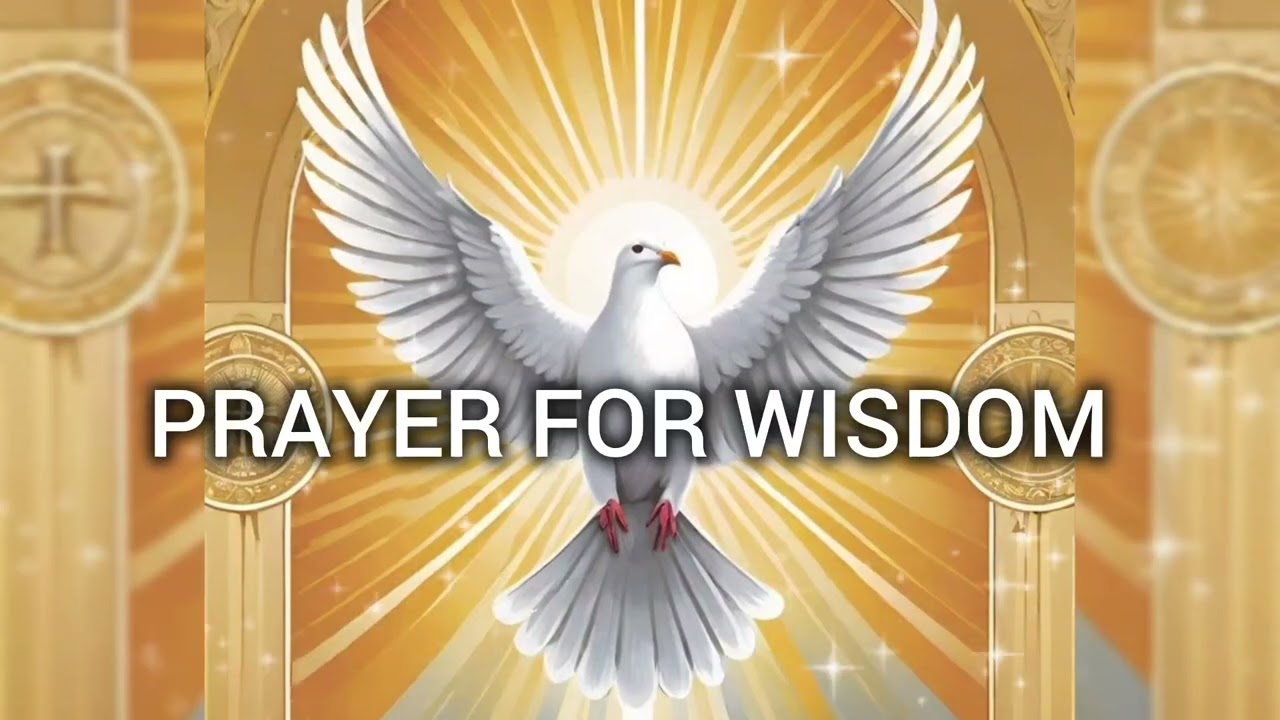Seeking God's wisdom for daily life |Bible verses 