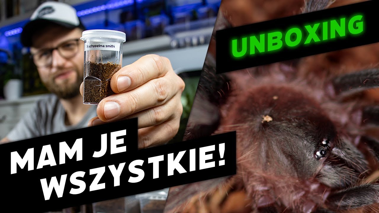 #41 Paczka od spidershop.pl - w końcu jest!