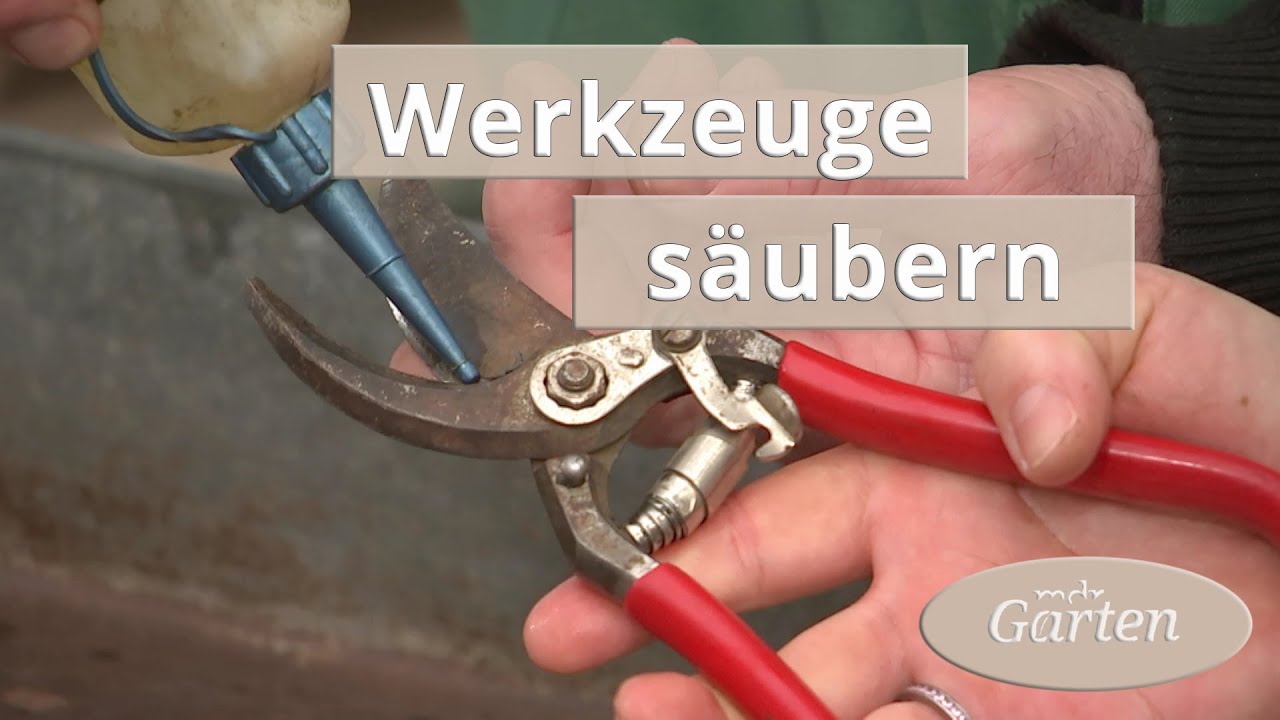 Gartenwerkzeuge s&auml;ubern und desinfizieren | MDR Garten