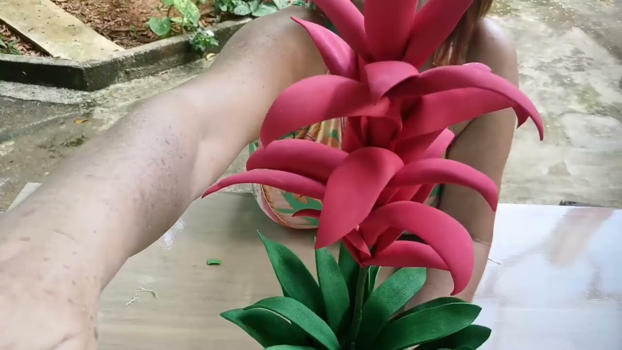 Bromélia  economica e simples