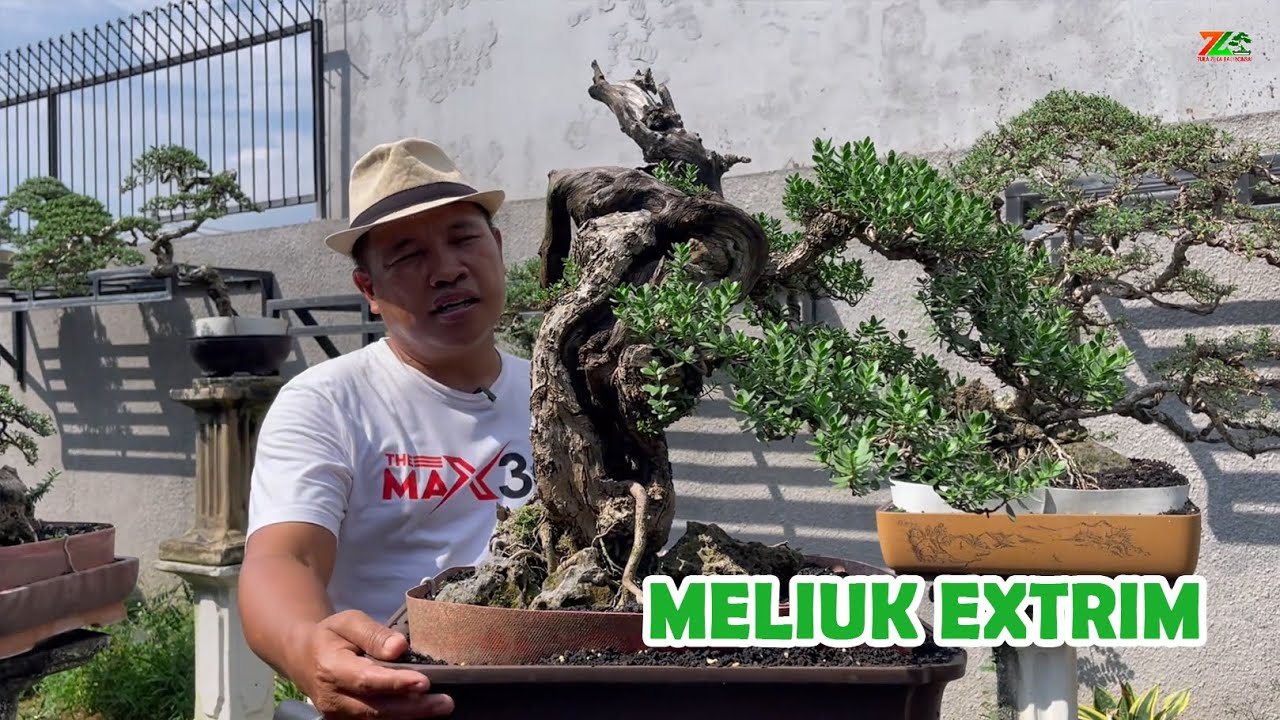 "GALLERY SANTIGI" PARA KOLEKTOR PASTI SENANG LIHAT INI