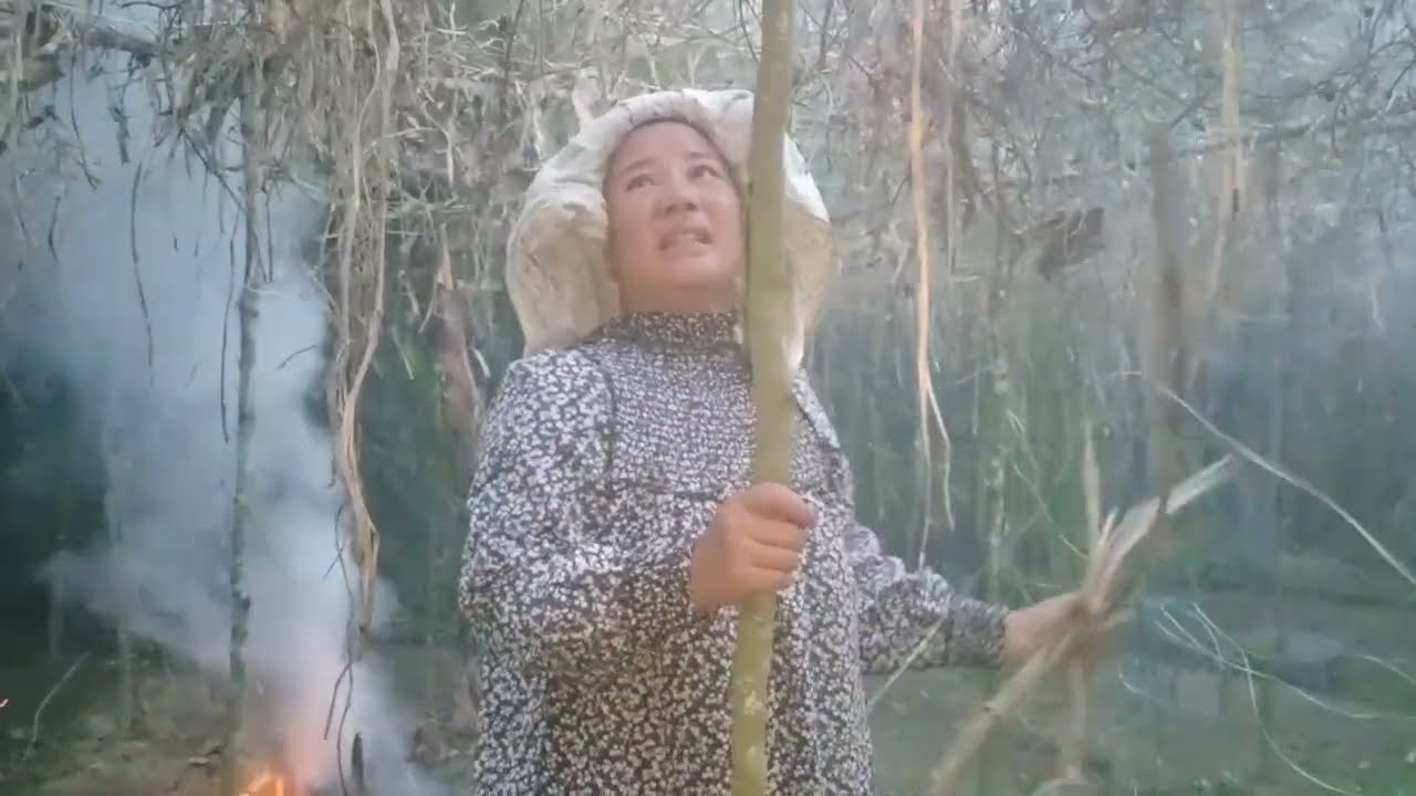 Kalau mau masak tinggal petik keliling kebun sudah lengkap // 