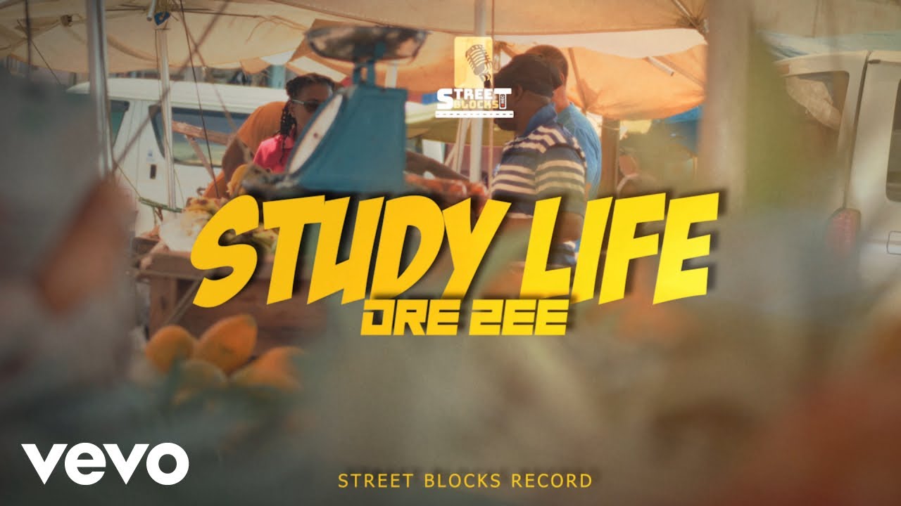 Dre Zee - Study Life (Official Music Video)