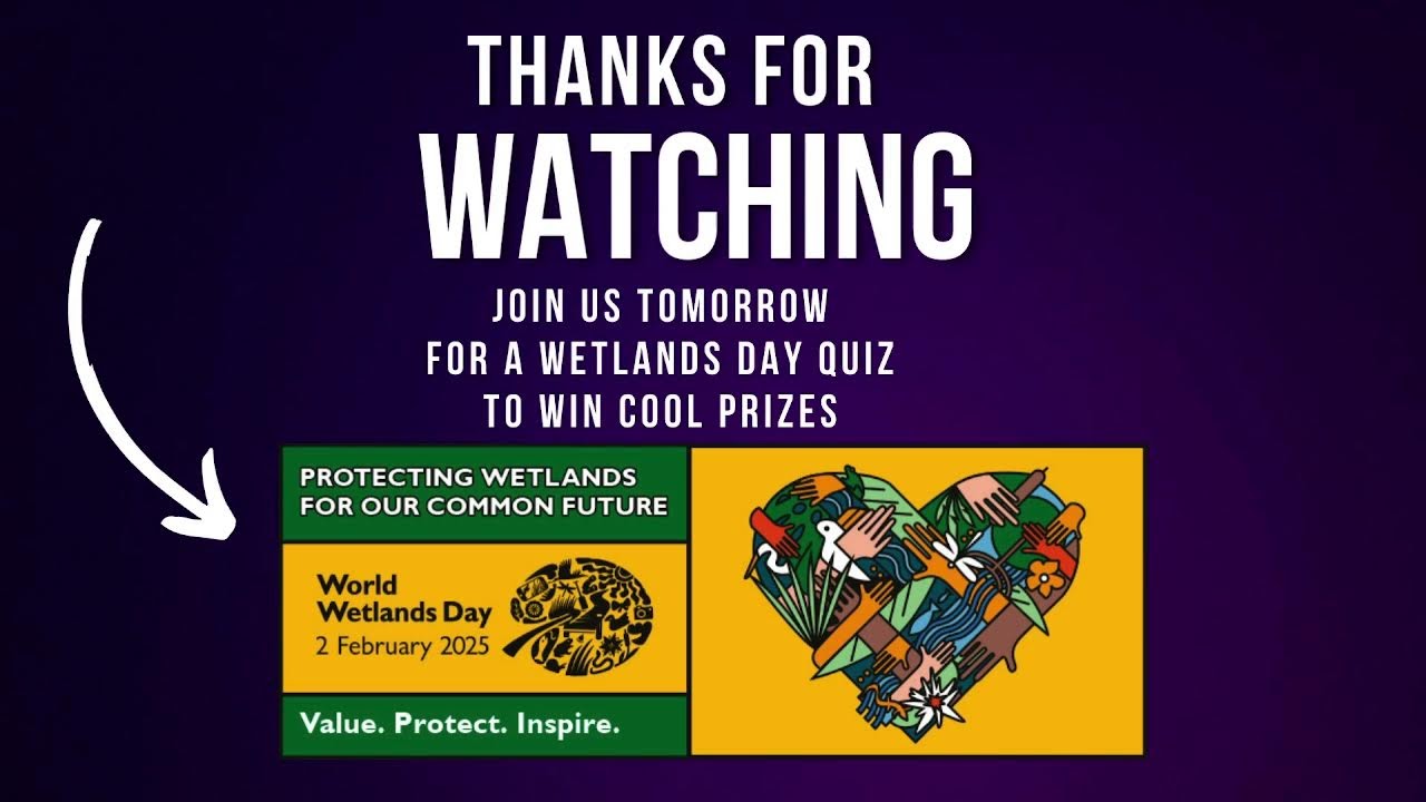 Zambia Environmental Management Agency Live Stream