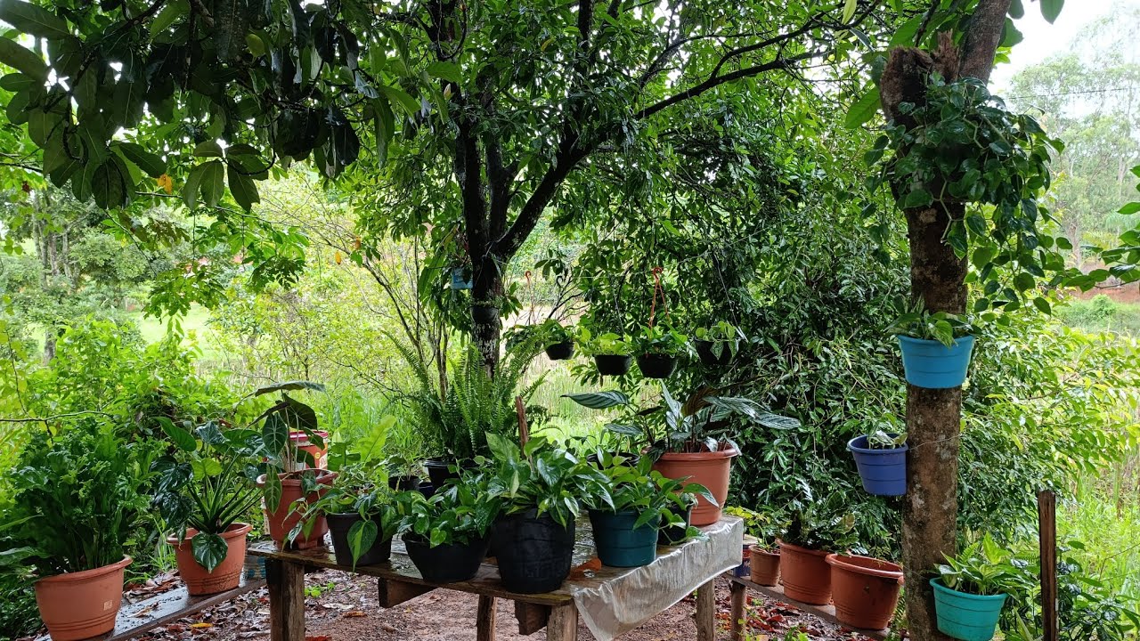 Minha nini floricultura 💞 ficou linda com a chuva 🌧️🌧️🙏🙏🙏🙏😍
