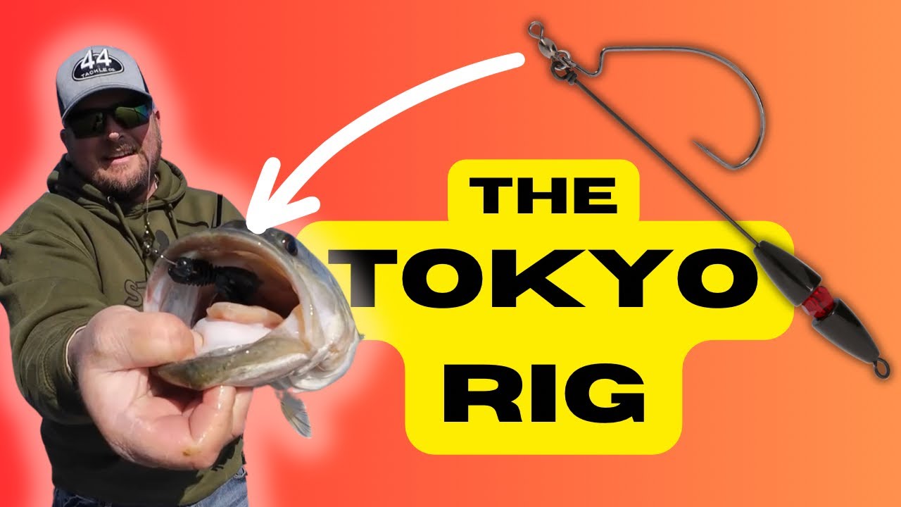 The TOKYO RIG Is Way Underrated!!  Why Are The Pro’s Keeping THIS A Secret?