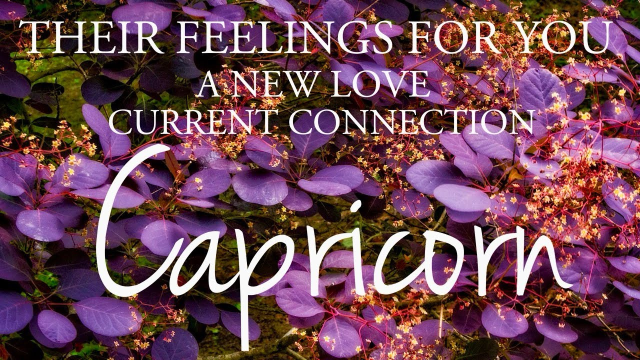CAPRICORN love tarot ♑️ Someone Who Has Love For You & Will Choose You 💕 You Should Listen To This