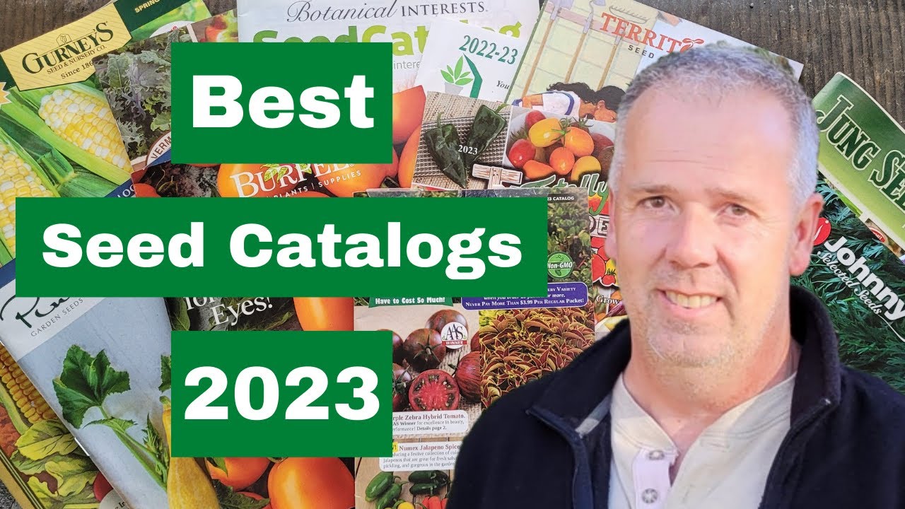 Лучшие каталоги садовых семян 2023 года