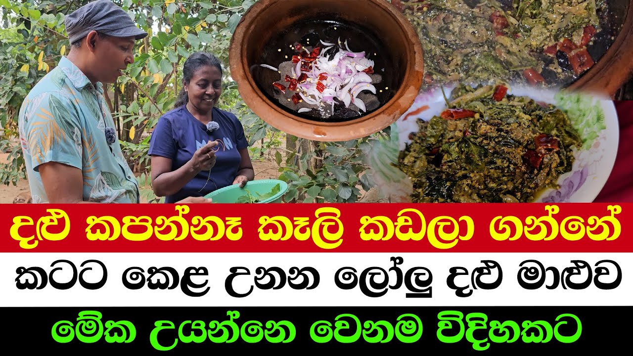 The Rarest & Tastiest Food of Sri Lanka | Cooking This Dish the Most Uncommon Way