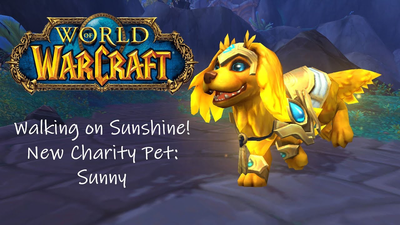 Walking on Sunshine! New Charity Pet: Sunny
