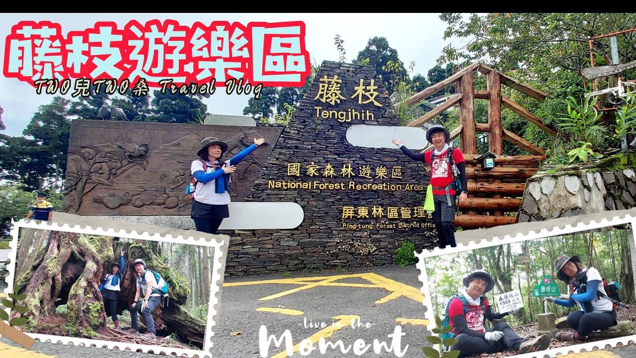 【藤枝山+藤枝森林遊樂區】編號#68小百岳，想要欣賞壯觀林相、倘佯舒服高山林道、挑戰艱難步道，園區內一應俱全！