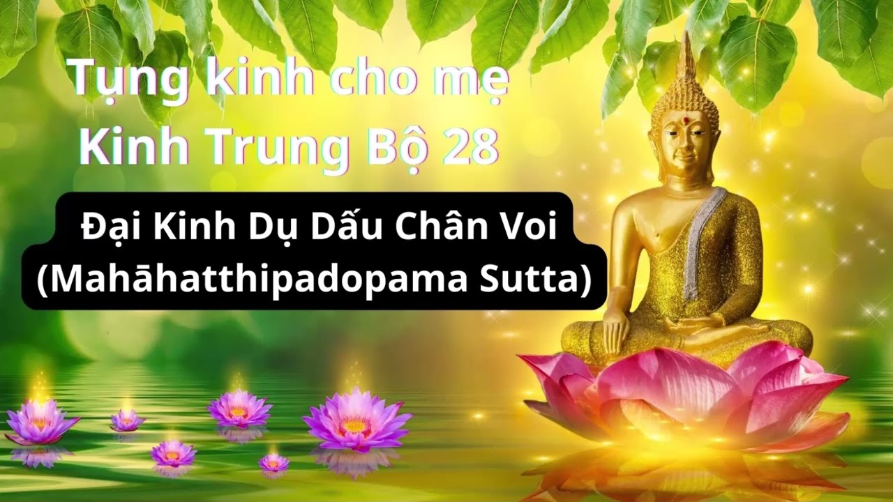 Kinh trung bộ số 28 ( Đại kinh dụ dấu chân voi)