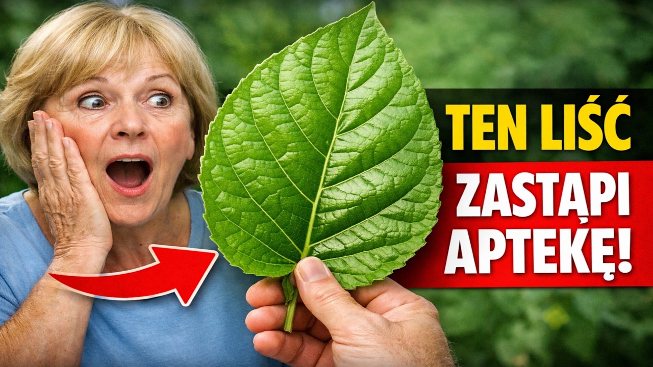 Farmaceuci tego nienawidzą! Ten jeden LIŚĆ zastąpi całą Twoją apteczkę.