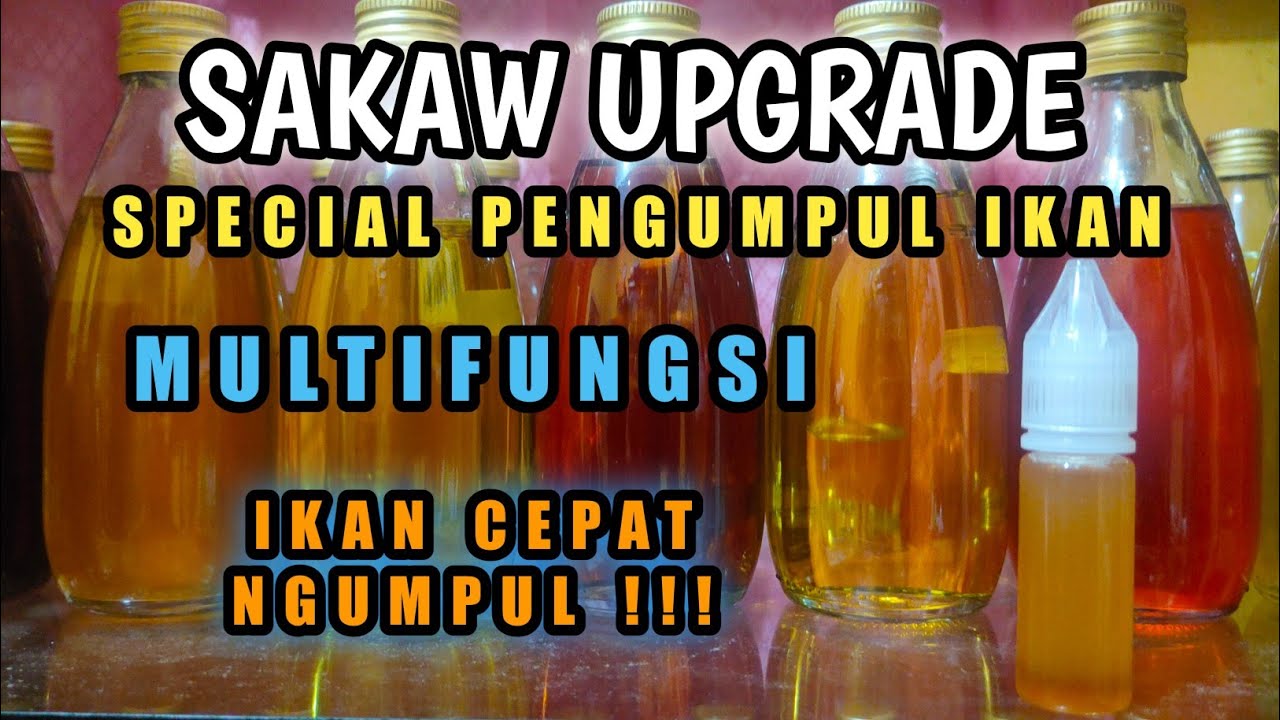 MERACIK PENGUMPUL IKAN 