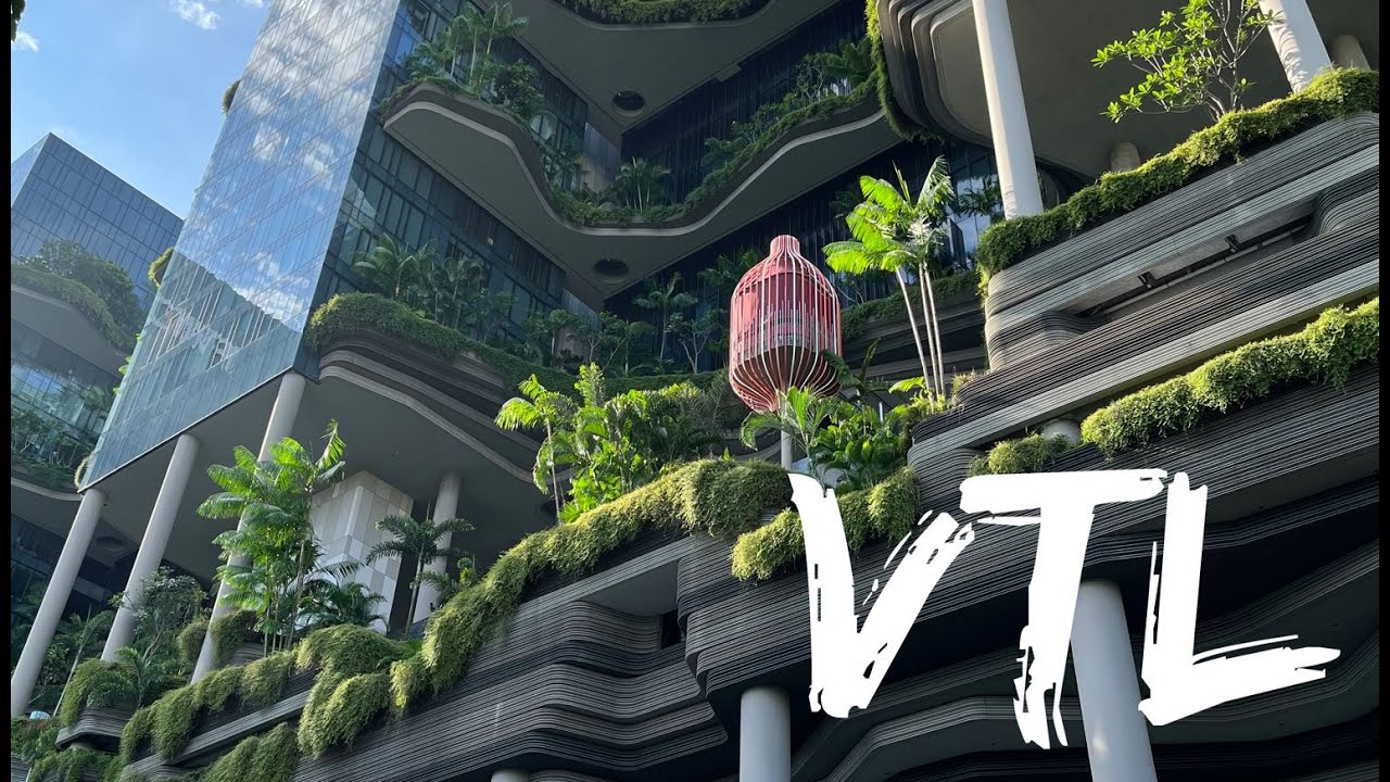 Vaccinated Travel Lane VTL - US To Singapore (Everything You Need)