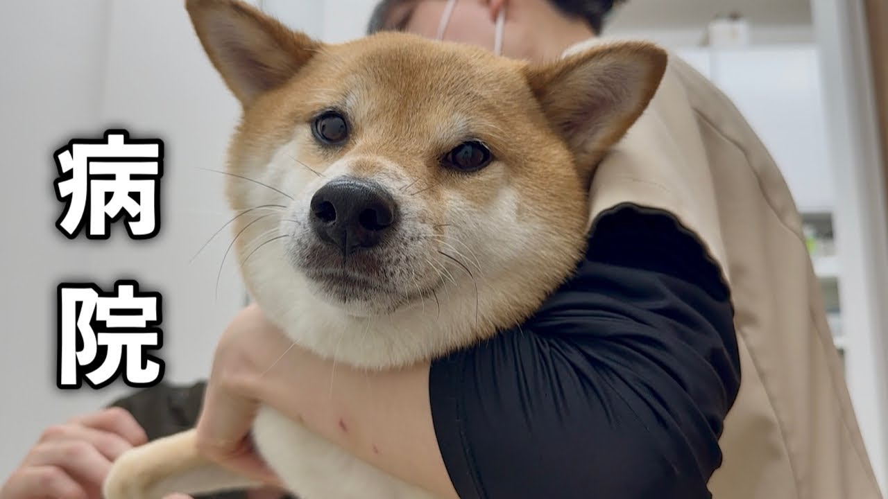 足を舐め続ける愛犬を病院に連れていきました…