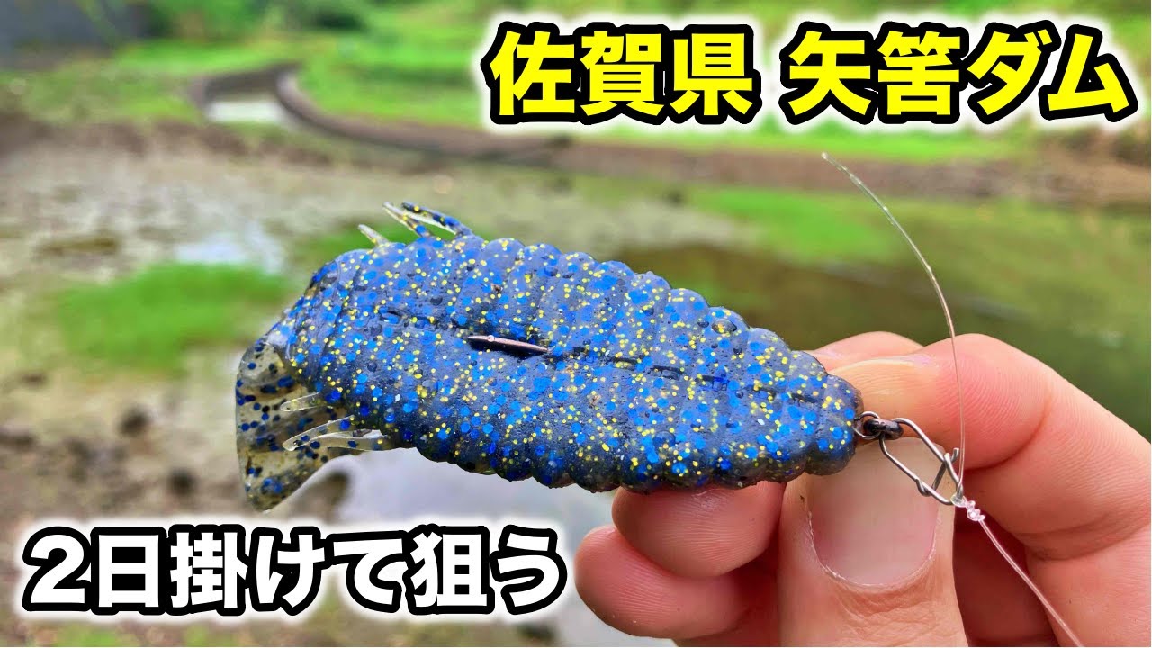 佐賀県矢筈ダムバス釣り。ブルフラット3.8に反応あり＆視聴者さんと遭遇【車中泊釣り】