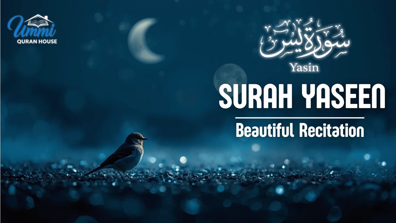 Surah Yasin (سورة يس) | Peaceful Night Recitation for Deep Sleep