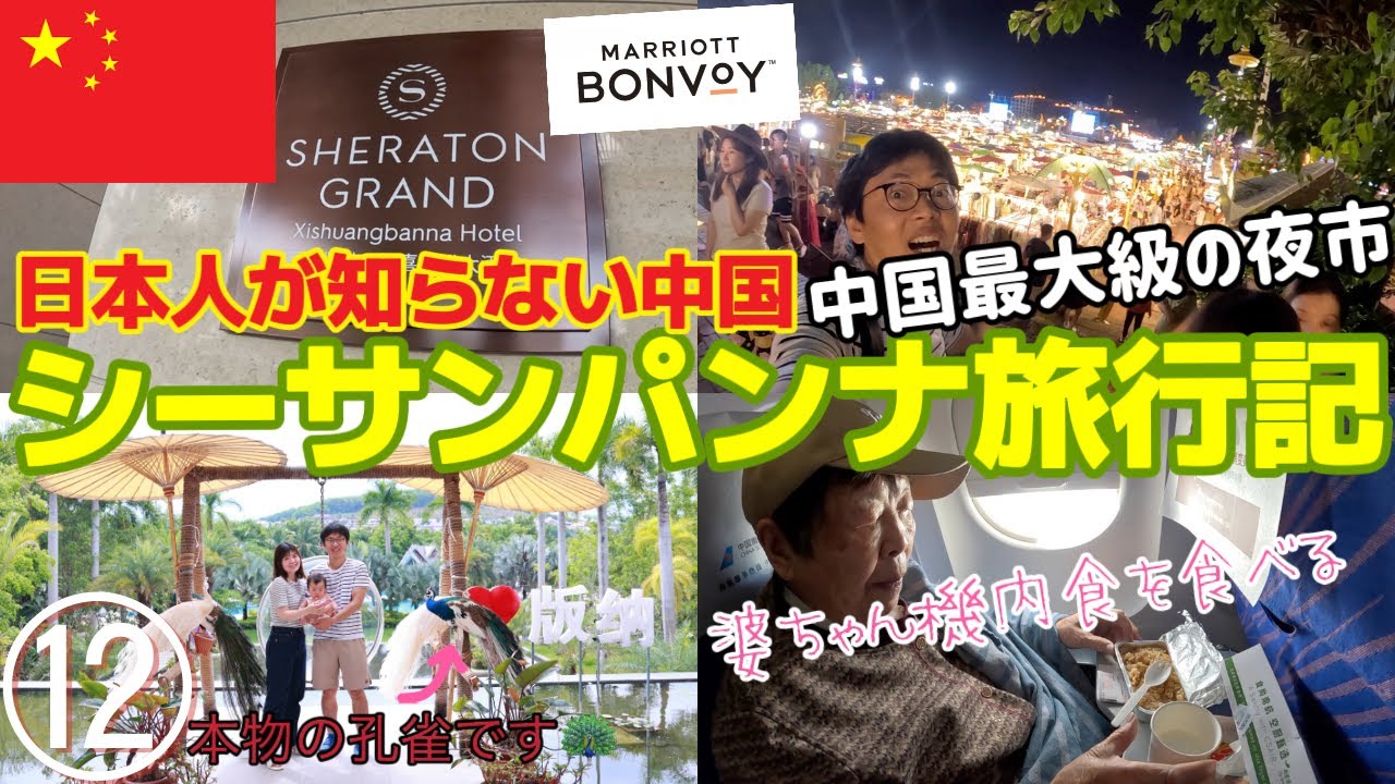 【中国旅🇨🇳#12】 日本人が知らない中国シーサンパンナ旅行記🦚🐘