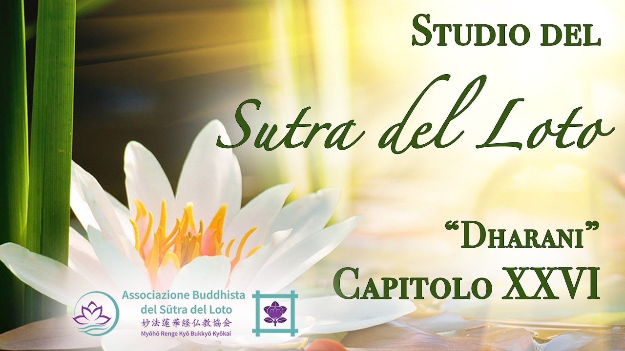 Studio del Sutra del Loto 