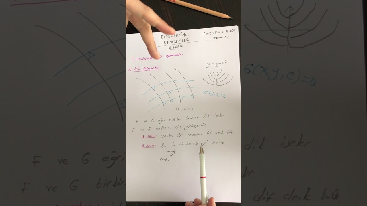 Halis Bilgil (Dik ve Eğik Yörüngeler 1)