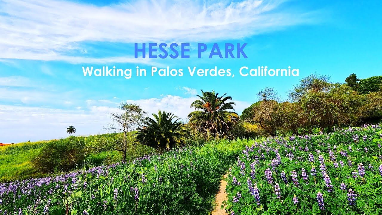Walking in Hesse Park | Palos Verdes, California