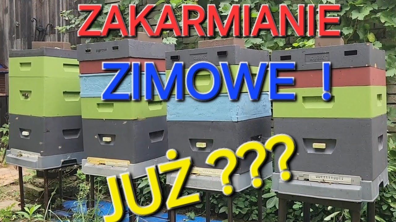 Czy już zakarmiać pszczoły na zimę?