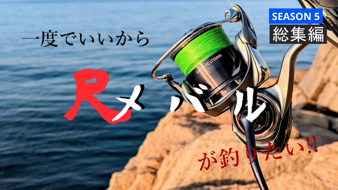 【メバリング】一度でいいから尺メバルが釣りたい!! SEASON5【一気見・総集編】